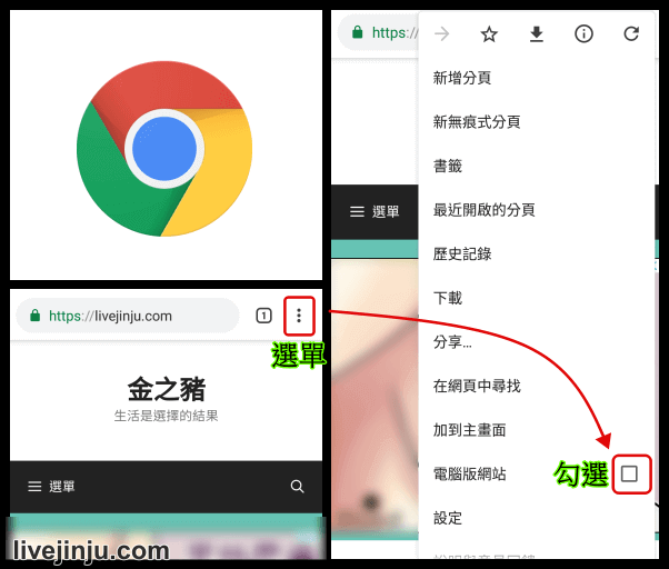 chrome 電腦版網站